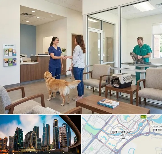 Veterinary Hospital in Business Bay