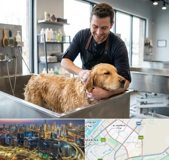 Pet Grooming in Al Barsha