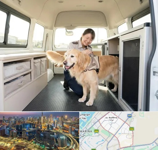 Pet Taxi in Al Barsha