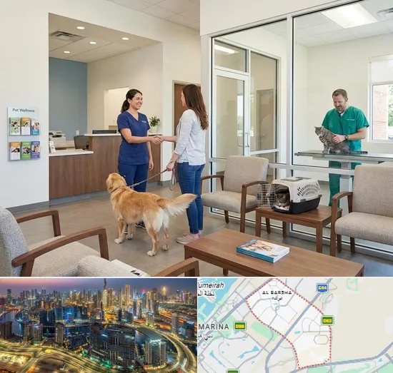 Veterinary Hospital in Al Barsha