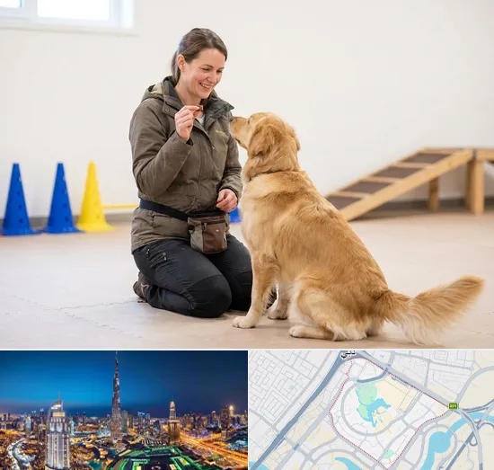 Pet Training in Downtown Dubai