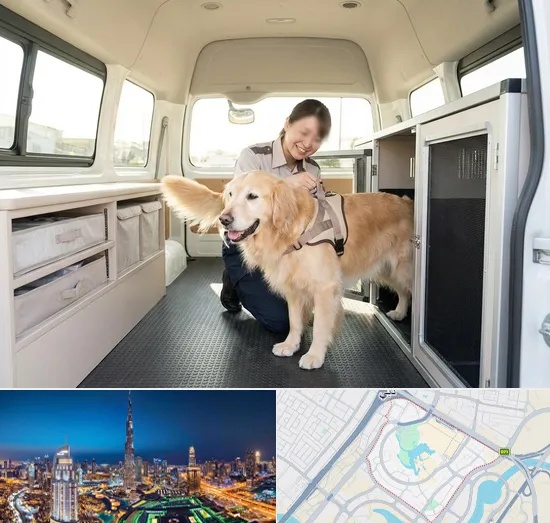 Pet Taxi in Downtown Dubai