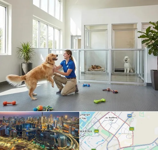 Pet Boarding in Al Barsha