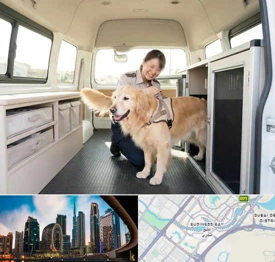 Pet Taxi in Business Bay