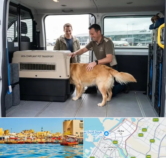 Pet Relocation Service in Deira