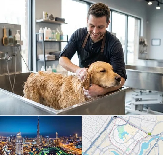 Pet Grooming in Downtown Dubai
