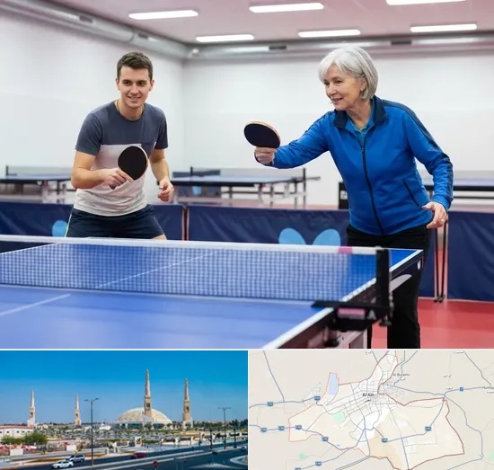 Table Tennis Coaching in Al Ain