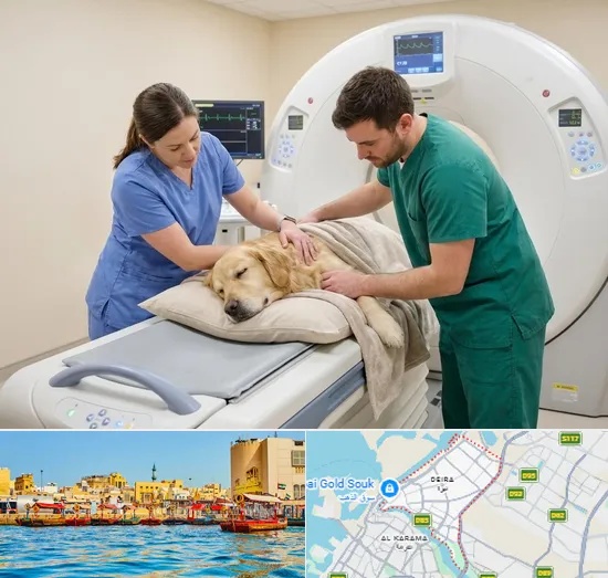 Pet CT Scan in Deira