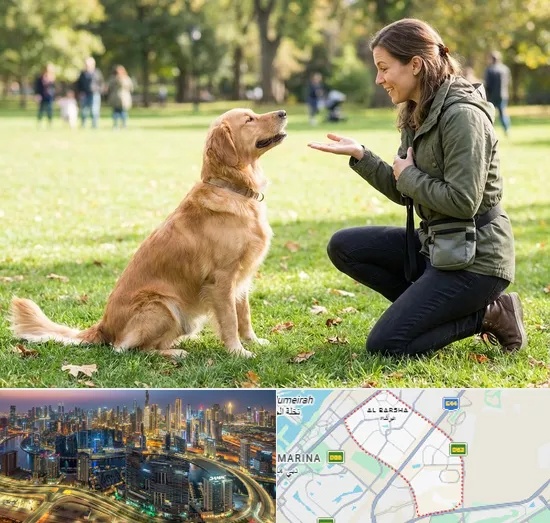 Dog Training in Al Barsha