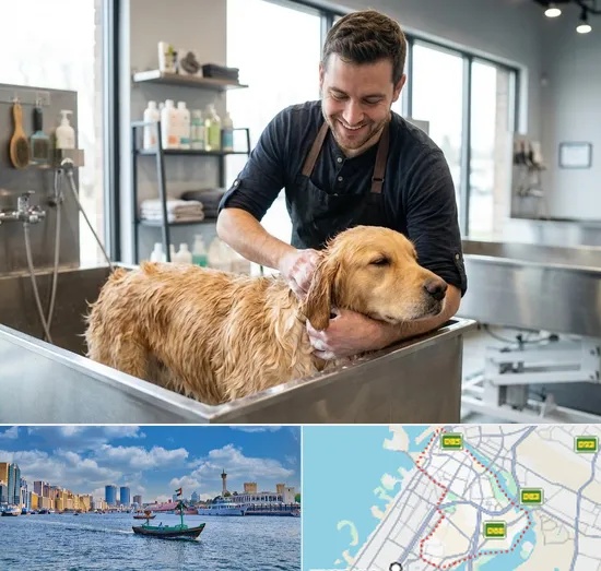 Pet Grooming in Bur Dubai