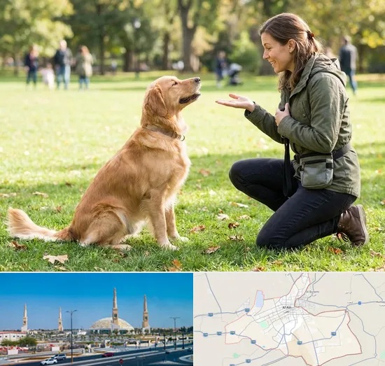 Dog Training in Al Ain