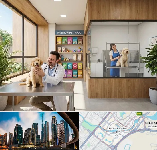 Buy Dog in Business Bay