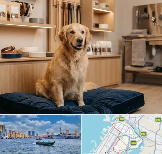 Premium & Luxury Pet Shop in Bur Dubai