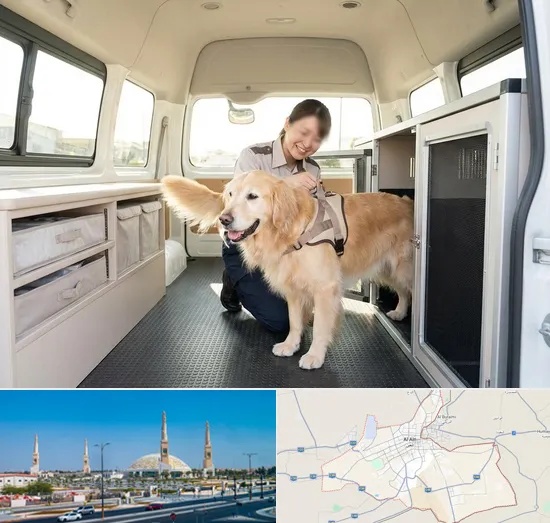 Pet Taxi in Al Ain