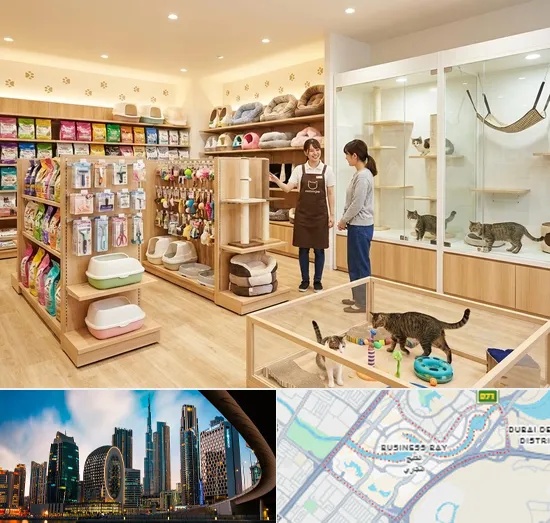 Cat Shop in Business Bay