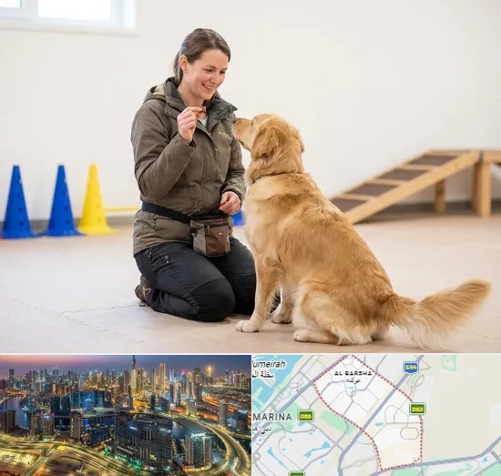 Pet Training in Al Barsha