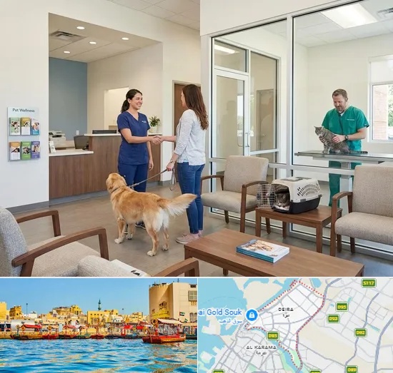 Veterinary Hospital in Deira