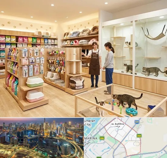 Cat Shop in Al Barsha