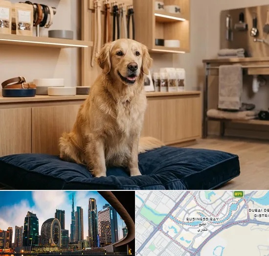Premium & Luxury Pet Shop in Business Bay