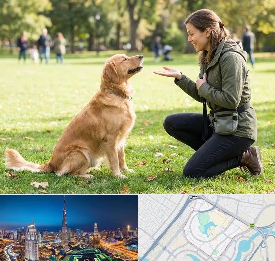 Dog Training in Downtown Dubai
