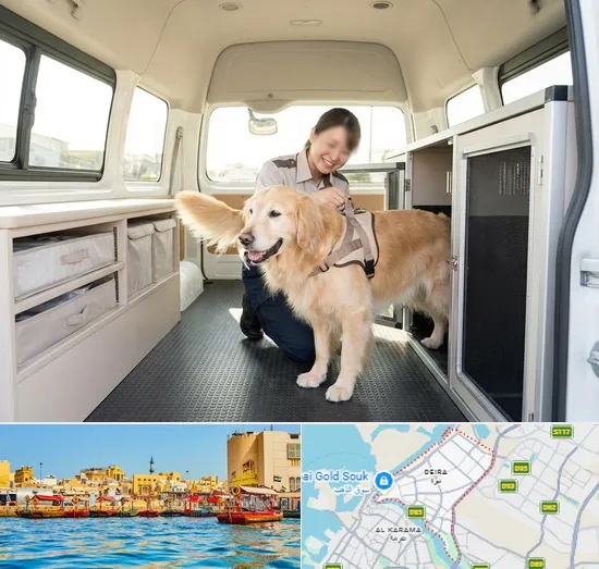 Pet Taxi in Deira