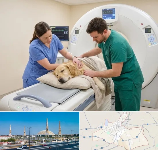 Pet CT Scan in Al Ain