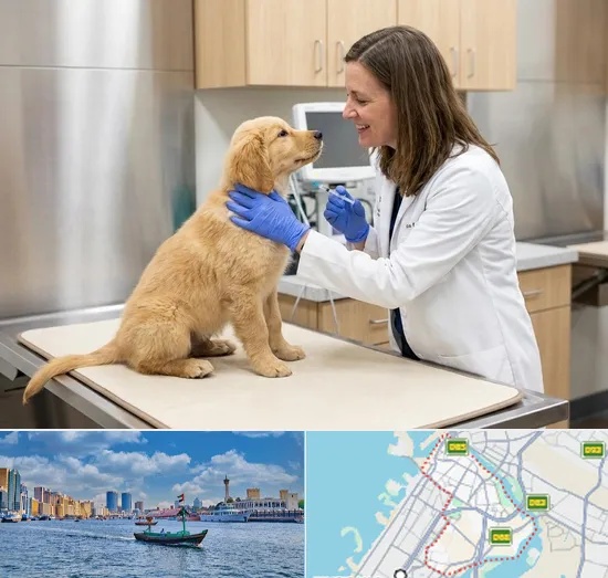 Pet Vaccination in Bur Dubai