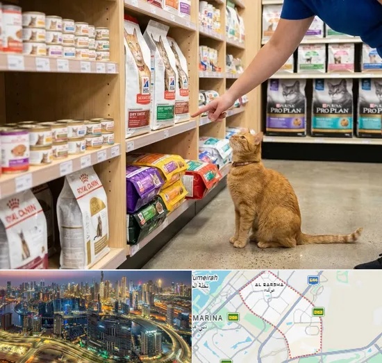Cat Food in Al Barsha