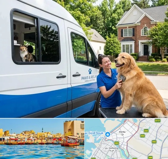 Mobile Pet Grooming in Deira