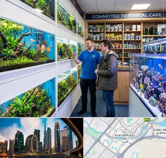 Fish & Aquarium Shop in Business Bay