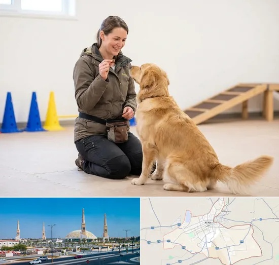 Pet Training in Al Ain