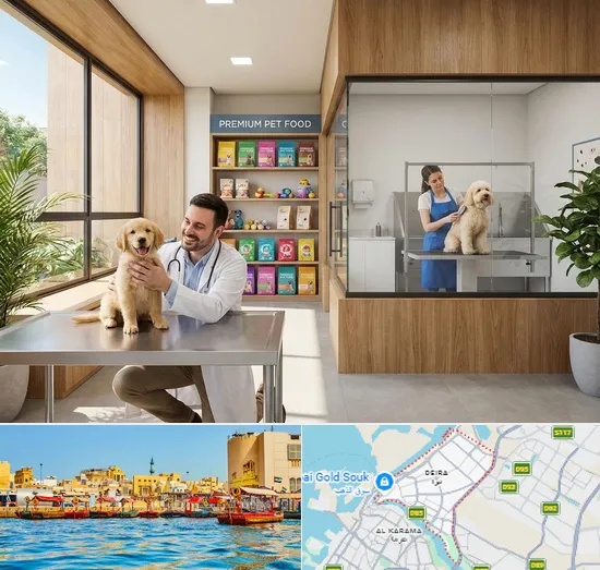 Buy Dog in Deira