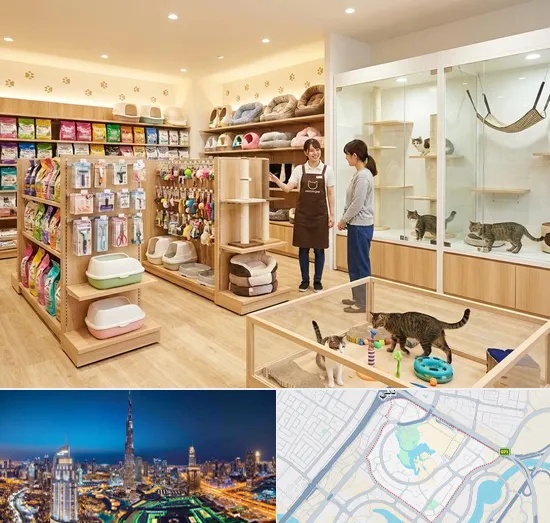 Cat Shop in Downtown Dubai