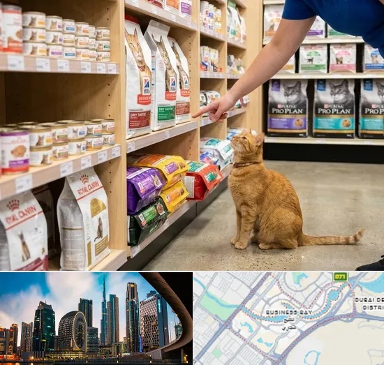 Cat Food in Business Bay