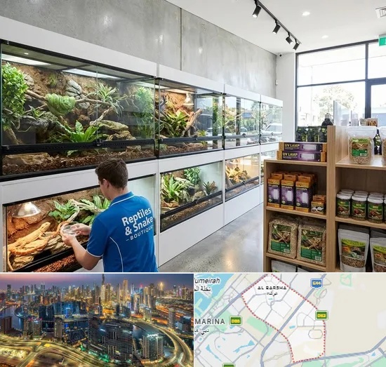 Reptile & Snake Shop in Al Barsha