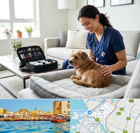 Mobile Veterinary in Deira