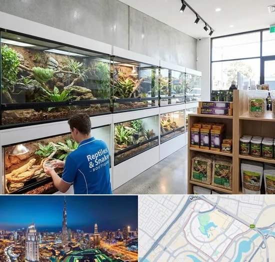Reptile & Snake Shop in Downtown Dubai