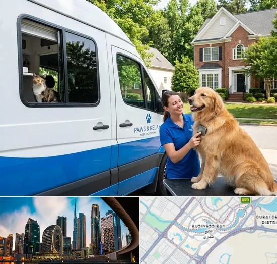 Mobile Pet Grooming in Business Bay