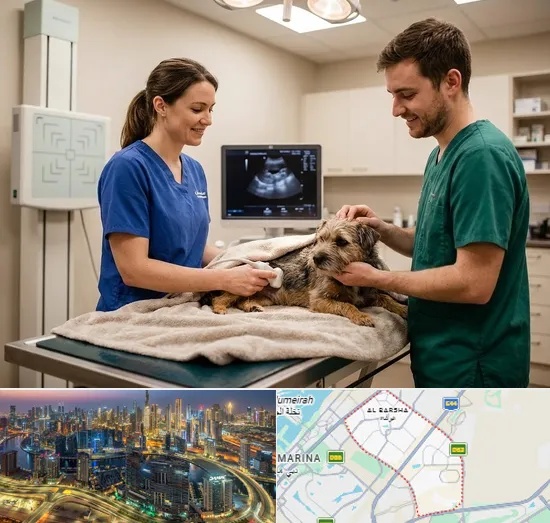 Pet X-ray & Ultrasound in Al Barsha
