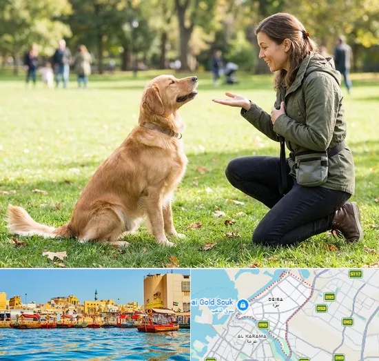 Dog Training in Deira