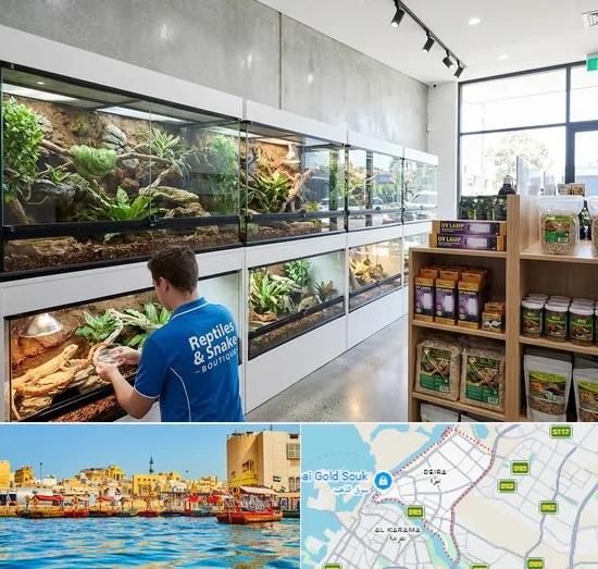 Reptile & Snake Shop in Deira