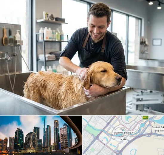 Pet Grooming in Business Bay