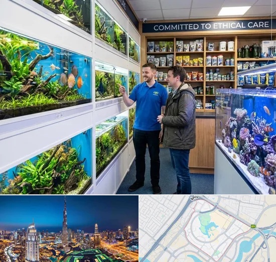 Fish & Aquarium Shop in Downtown Dubai