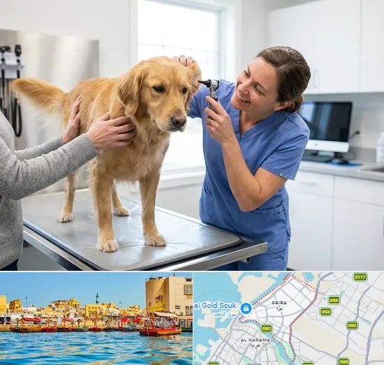 Pet Checkup in Deira