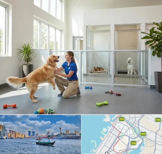 Pet Boarding in Bur Dubai