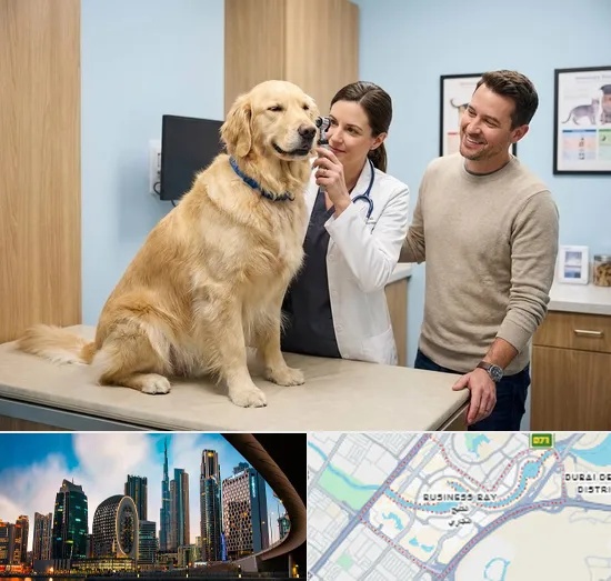 Veterinary Consultation in Business Bay