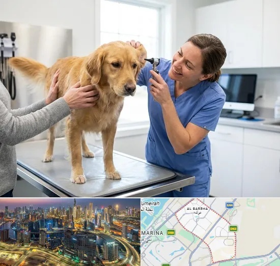 Pet Checkup in Al Barsha