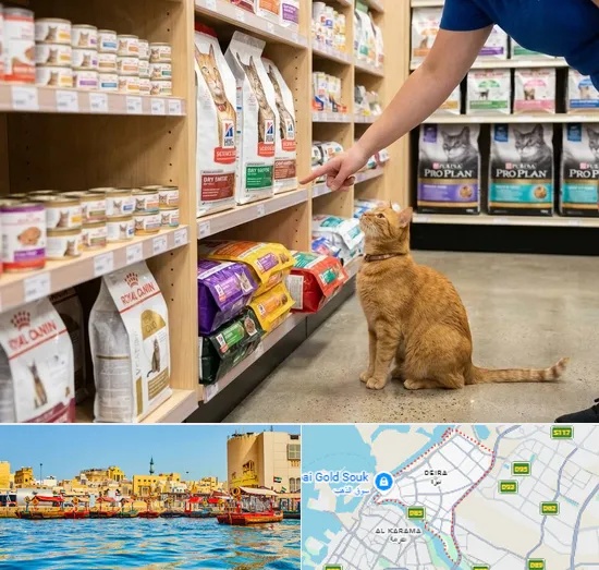 Cat Food in Deira