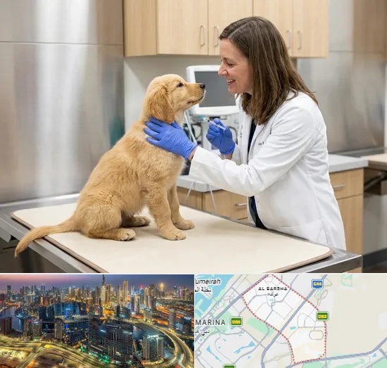 Pet Vaccination in Al Barsha