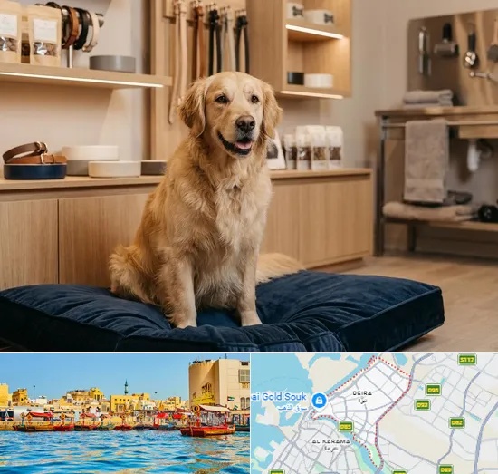 Premium & Luxury Pet Shop in Deira
